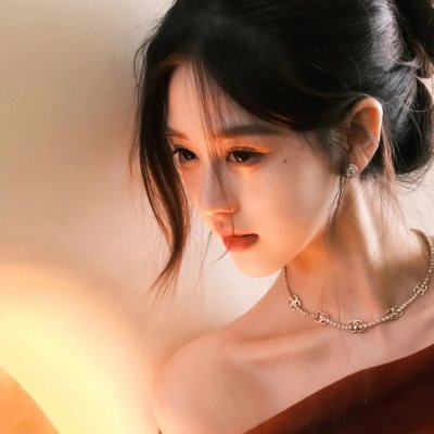 完美的独裁国家