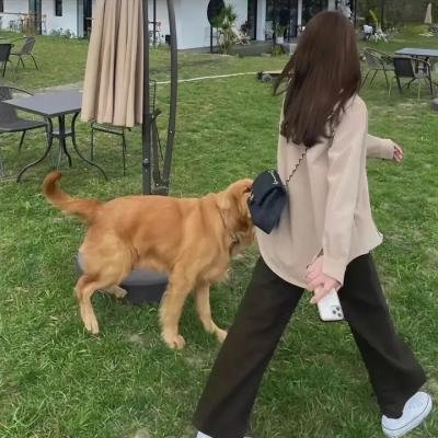 恐怖的报酬